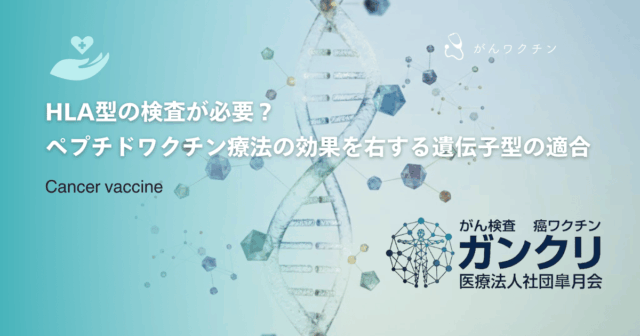マンモグラフィ検査の費用相場を比較！自治体検診と人間ドックの料金目安を解説
