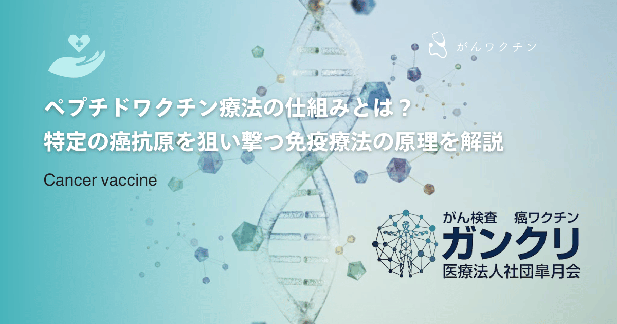 ペプチドワクチン療法の仕組みとは?特定の癌抗原を狙い撃つ免疫療法の原理を解説