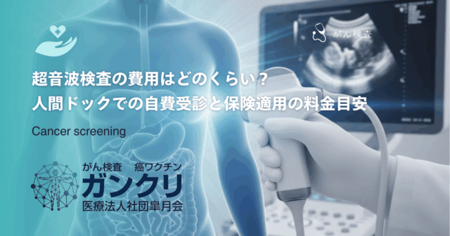 超音波検査の費用はどのくらい？人間ドックでの自費受診と保険適用の料金目安
