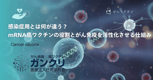 ネオアンチゲンと従来のペプチドワクチンの違い｜個別最適化される治療の強み