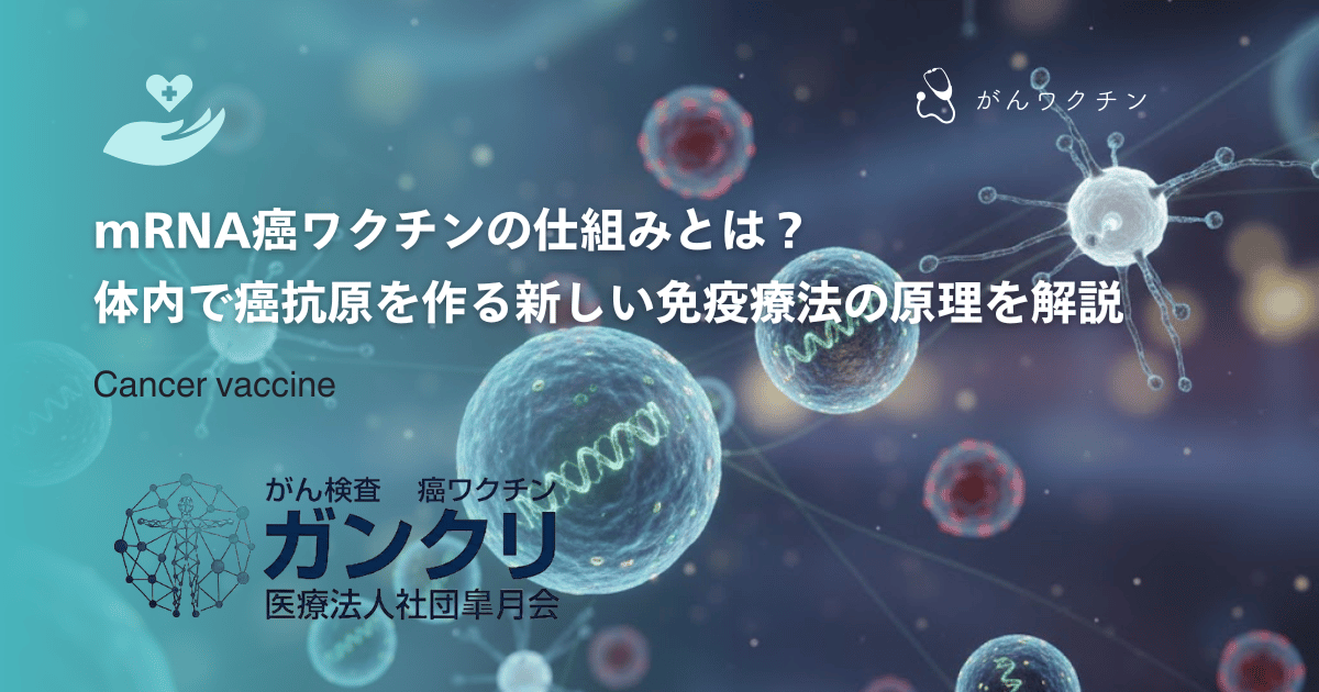 mRNA癌ワクチンの仕組みとは？体内で癌抗原を作る新しい免疫療法の原理を解説