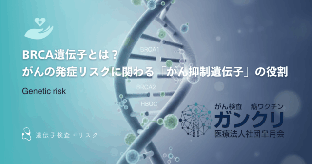 BRCA遺伝子とは？がんの発症リスクに関わる「がん抑制遺伝子」の役割