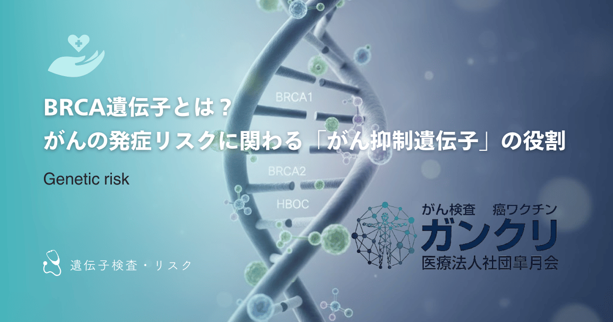 BRCA遺伝子とは？がんの発症リスクに関わる「がん抑制遺伝子」の役割