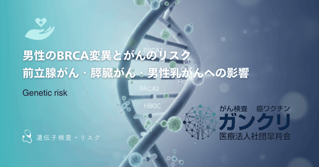 男性のBRCA変異とがんのリスク｜前立腺がん・膵臓がん・男性乳がんへの影響