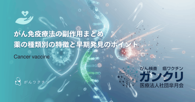 免疫細胞療法の費用相場｜自由診療の料金体系と治療継続にかかるコスト