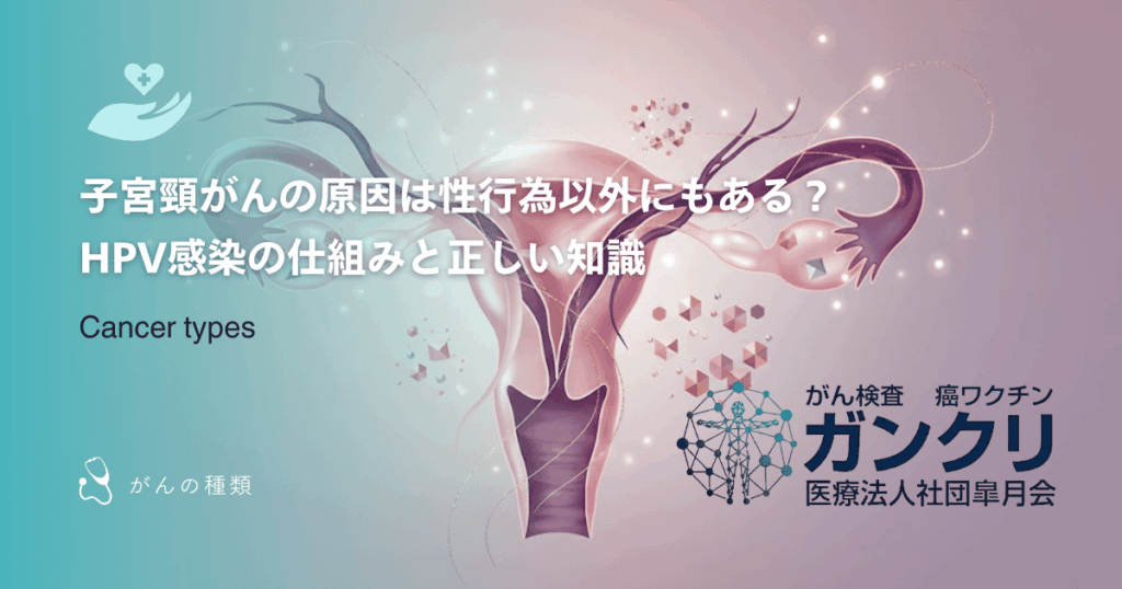 子宮頸がんの原因は性行為以外にもある？HPV感染の仕組みと正しい知識