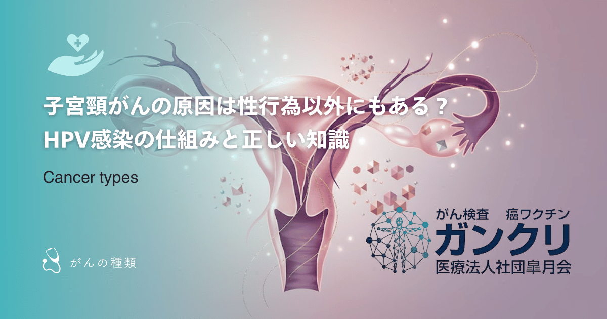 子宮頸がんの原因は性行為以外にもある？HPV感染の仕組みと正しい知識