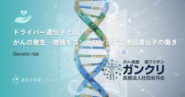 甲状腺がんの分子標的薬治療｜対象となるがん種と期待される効果・副作用