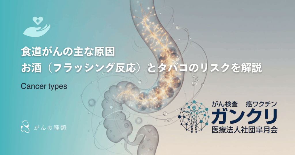 食道がんの主な原因｜お酒（フラッシング反応）とタバコのリスクを解説