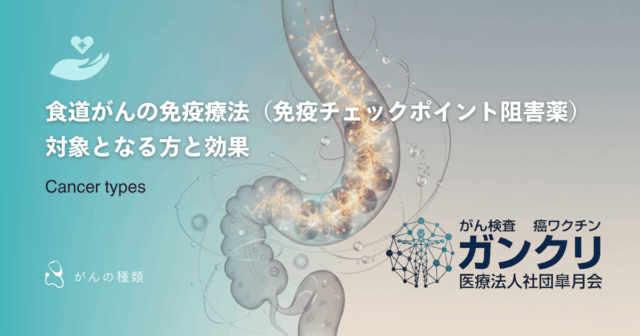 希少がんとは？定義や患者数が少ないゆえの課題、診断・治療の現状を解説