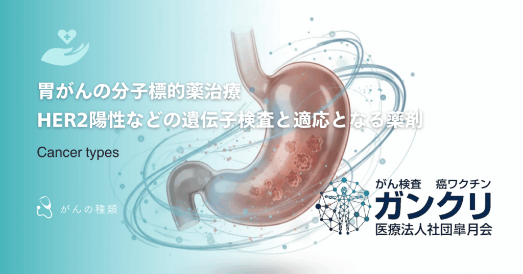 胃がんの分子標的薬治療|HER2陽性などの遺伝子検査と適応となる薬剤