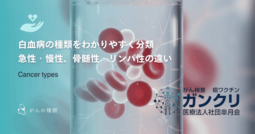 白血病の種類をわかりやすく分類｜急性・慢性、骨髄性・リンパ性の違い