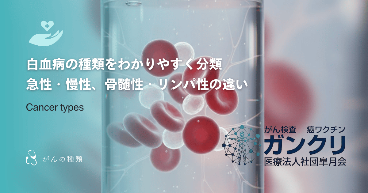 白血病の種類をわかりやすく分類｜急性・慢性、骨髄性・リンパ性の違い