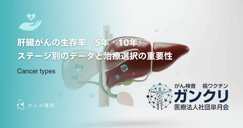 肝臓がんの生存率（5年・10年）｜ステージ別のデータと治療選択の重要性