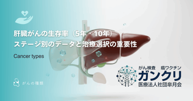 肝臓がんの生存率（5年・10年）｜ステージ別のデータと治療選択の重要性