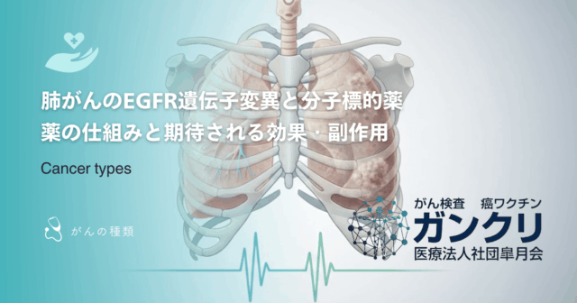 乳がん手術の選択｜「温存」と「全摘」の判断基準と術後の乳房再建について