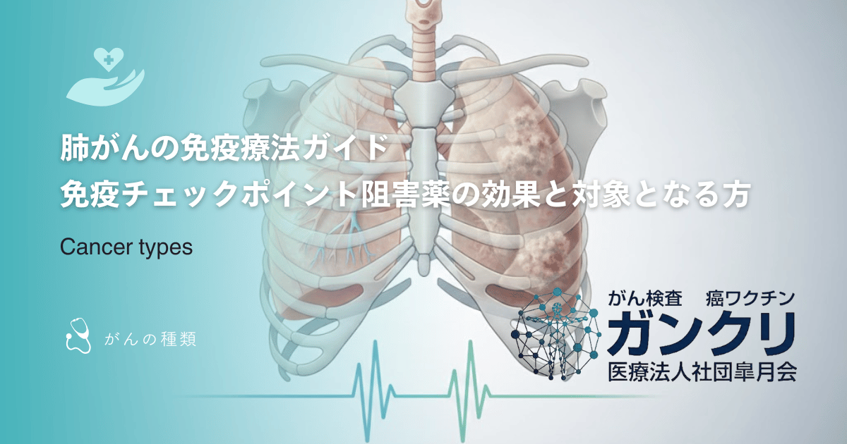 肺がんの免疫療法ガイド｜免疫チェックポイント阻害薬の効果と対象となる方