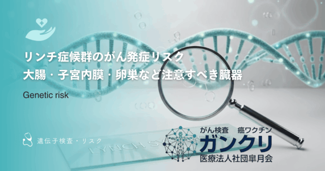 リンチ症候群のがん発症リスク｜大腸・子宮内膜・卵巣など注意すべき臓器
