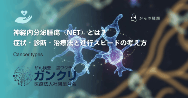 神経内分泌腫瘍（NET）とは？症状・診断・治療法と進行スピードの考え方