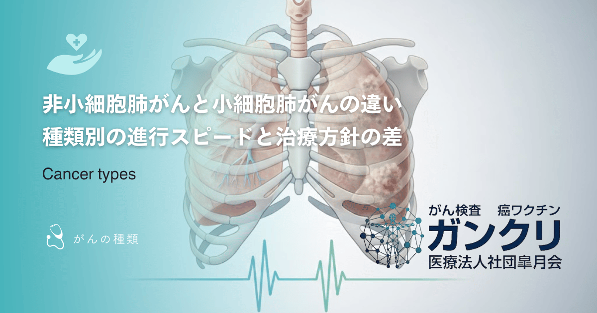 非小細胞肺がんと小細胞肺がんの違い｜種類別の進行スピードと治療方針の差