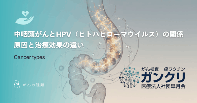 中咽頭がんとHPV（ヒトパピローマウイルス）の関係｜原因と治療効果の違い