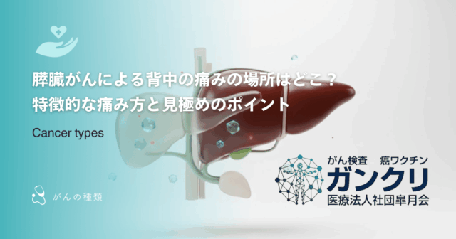 膵臓がんによる背中の痛みの場所はどこ？特徴的な痛み方と見極めのポイント