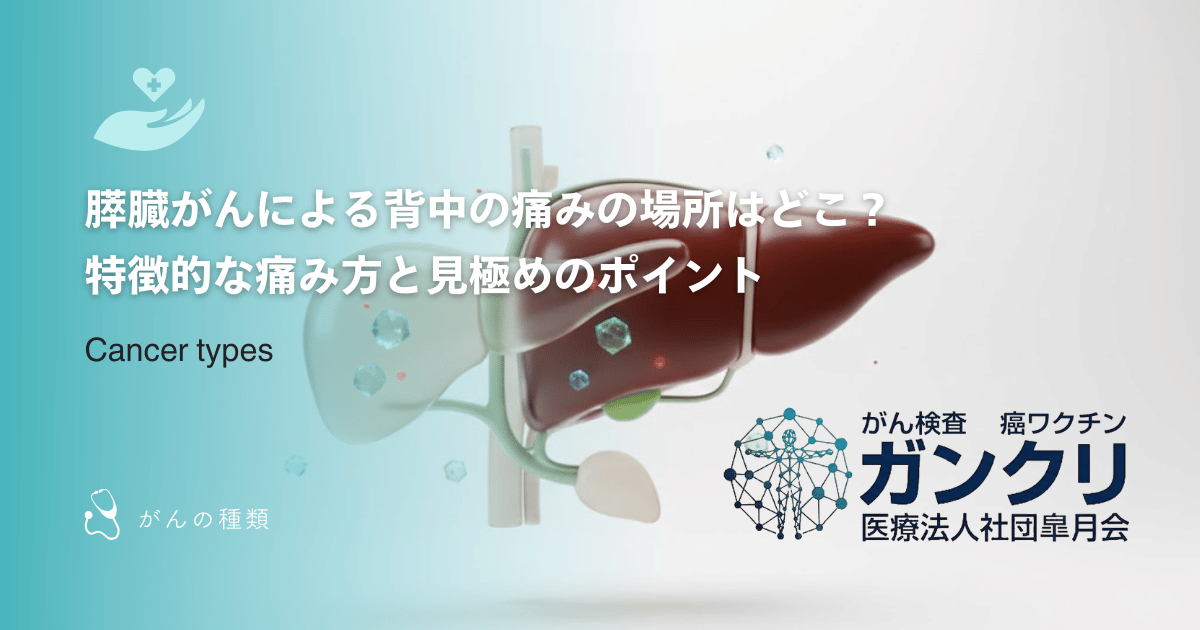 膵臓がんによる背中の痛みの場所はどこ？特徴的な痛み方と見極めのポイント
