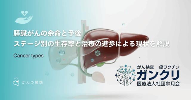 膵臓がんの余命と予後｜ステージ別の生存率と治療の進歩による現状を解説
