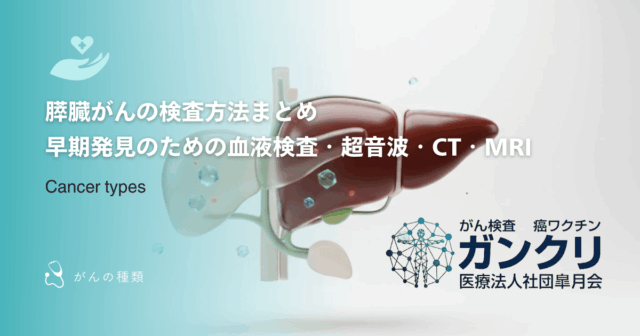 膵臓がんの検査方法まとめ｜早期発見のための血液検査・超音波・CT・MRI
