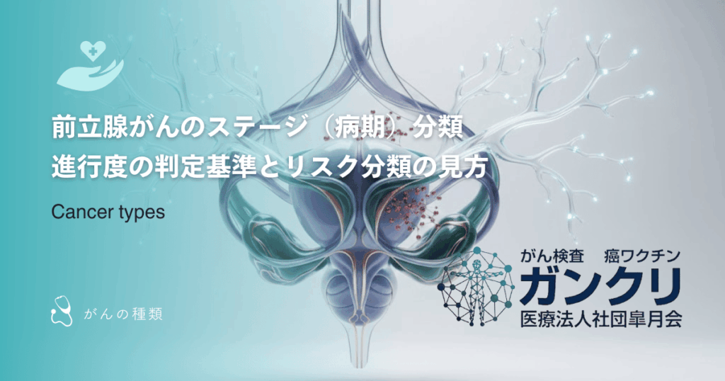 前立腺がんのステージ（病期）分類｜進行度の判定基準とリスク分類の見方