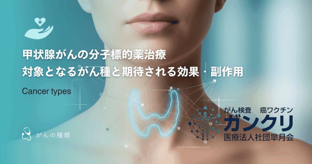 甲状腺がんの分子標的薬治療｜対象となるがん種と期待される効果・副作用