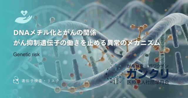 DNAメチル化とがんの関係｜がん抑制遺伝子の働きを止める異常のメカニズム