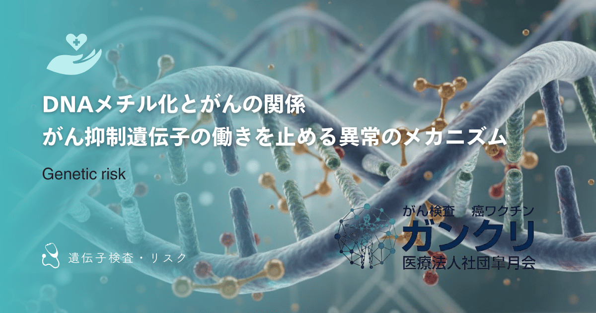 DNAメチル化とがんの関係｜がん抑制遺伝子の働きを止める異常のメカニズム