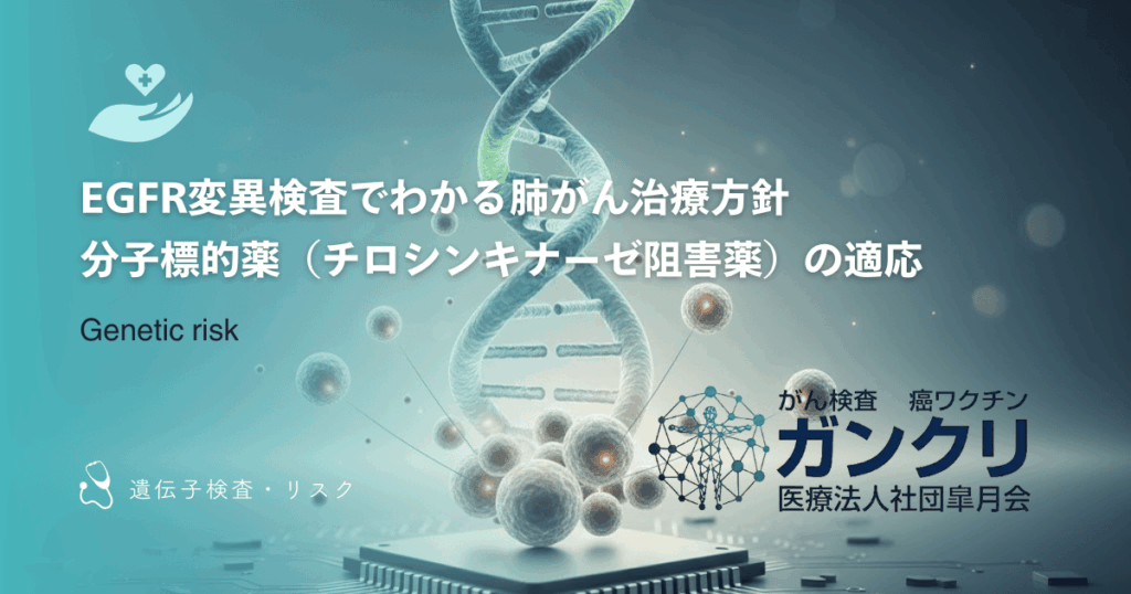 EGFR変異検査でわかる肺がん治療方針｜分子標的薬（チロシンキナーゼ阻害薬）の適応