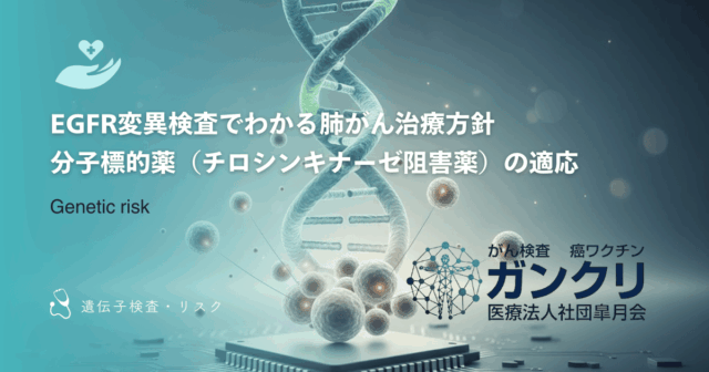マイシグナルの料金・費用ガイド｜選べるプランの価格差とコスパを分析
