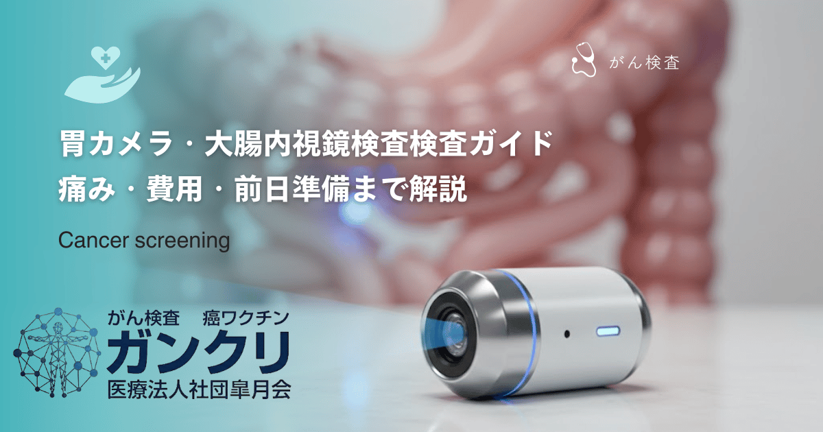胃カメラ・大腸内視鏡検査検査ガイド｜痛み・費用・前日準備まで解説