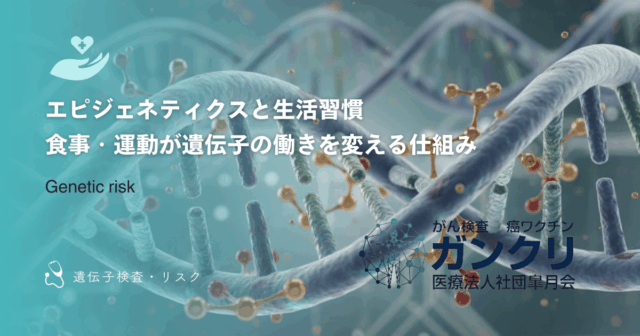 エピジェネティクスと生活習慣|食事・運動が遺伝子の働きを変える仕組み