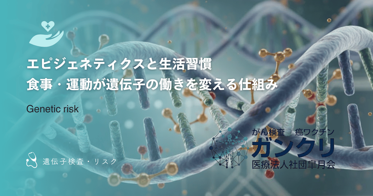 エピジェネティクスと生活習慣|食事・運動が遺伝子の働きを変える仕組み