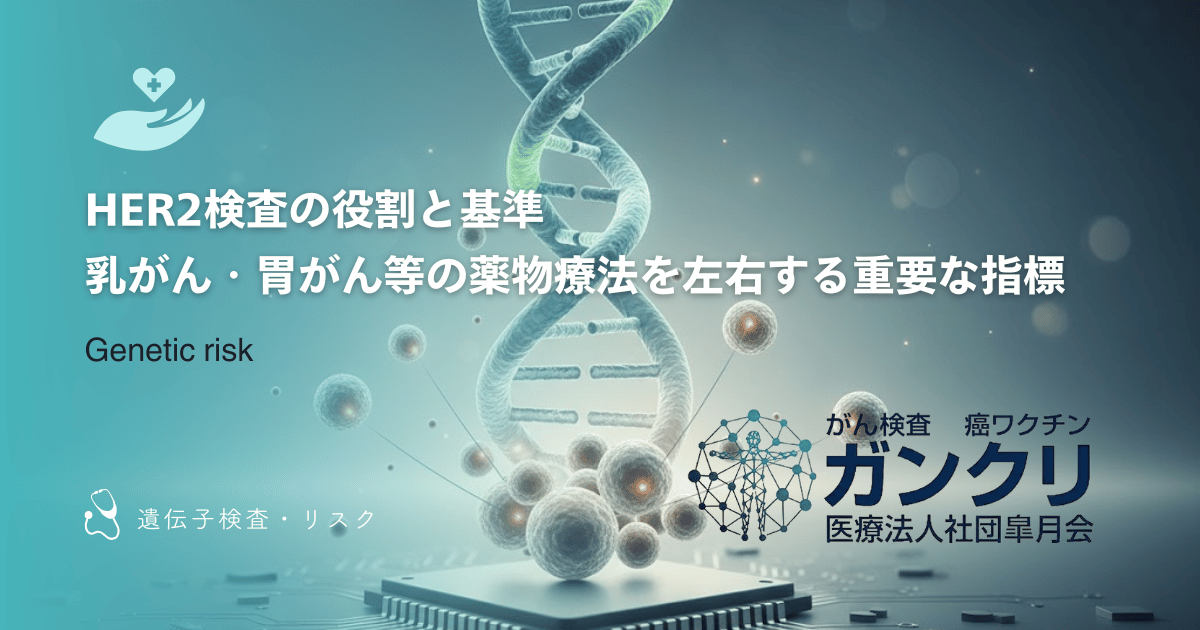 HER2検査の役割と基準|乳がん・胃がん等の薬物療法を左右する重要な指標