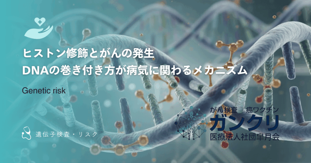 ヒストン修飾とがんの発生｜DNAの巻き付き方が病気に関わるメカニズム