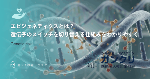 がん保険は本当に必要か?加入の判断基準とライフステージ別の考え方