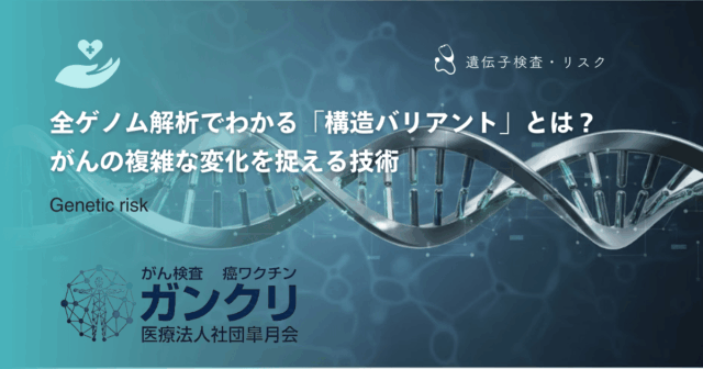 リンチ症候群のがん発症リスク｜大腸・子宮内膜・卵巣など注意すべき臓器
