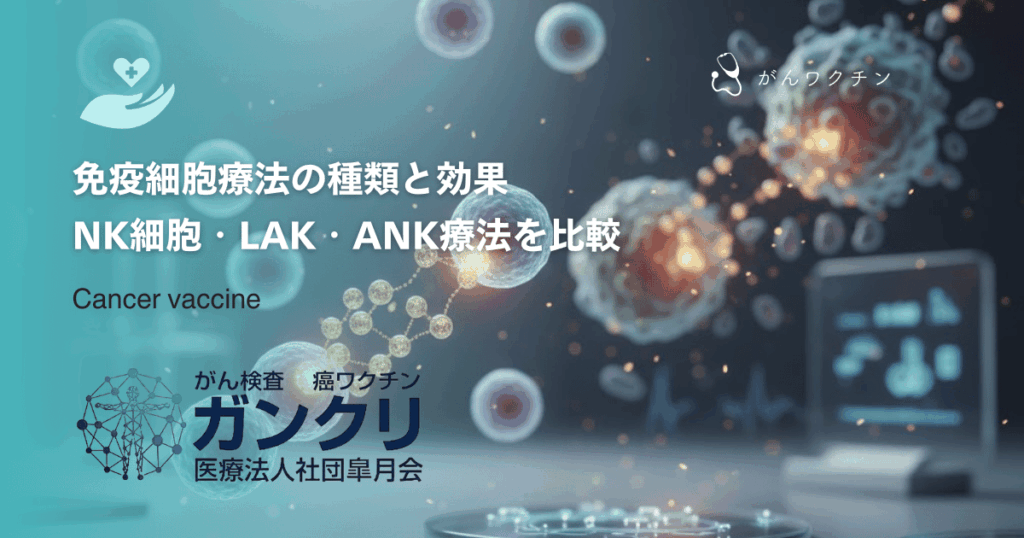 免疫細胞療法の種類と効果｜NK細胞・LAK・ANK療法を比較
