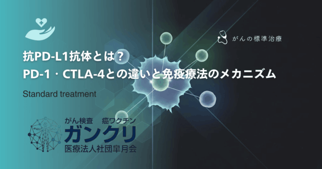 抗PD-L1抗体とは？PD-1・CTLA-4との違いと免疫療法のメカニズム