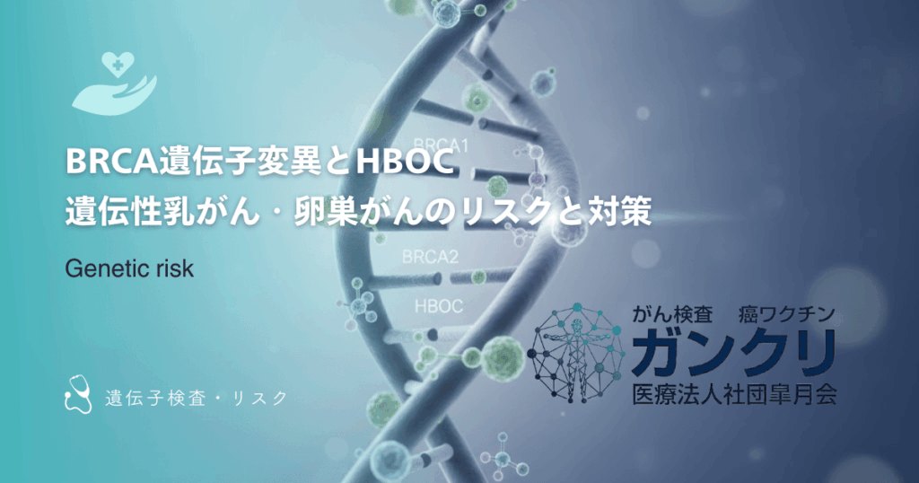 BRCA遺伝子変異とHBOC｜遺伝性乳がん・卵巣がんのリスクと対策