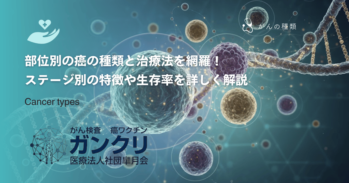 部位別の癌の種類と治療法を網羅！ステージ別の特徴や生存率を詳しく解説