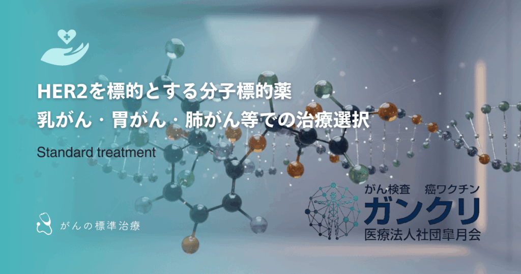 HER2を標的とする分子標的薬|乳がん・胃がん・肺がん等での治療選択