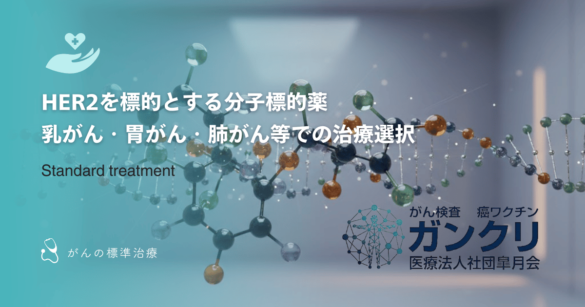 HER2を標的とする分子標的薬｜乳がん・胃がん・肺がん等での治療選択