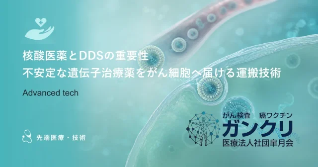 リポソーム製剤が変えるがん化学療法｜副作用を抑え、薬の滞留性を高める仕組み