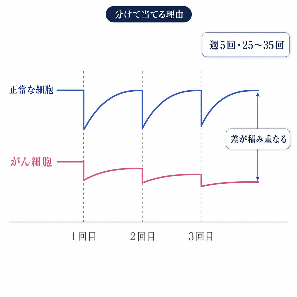 照射のたびに正常な細胞は回復し がん細胞は戻りきらないことを2本の折れ線で表した図解イラスト